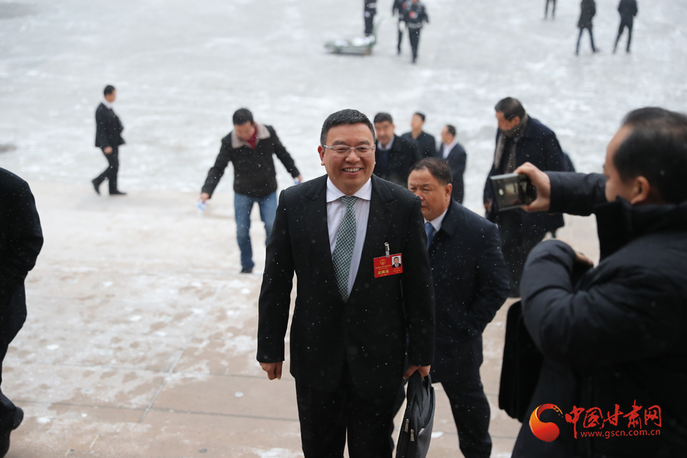【聚焦2020甘肅兩會】“兩會”代表、委員風采掠影（組圖）