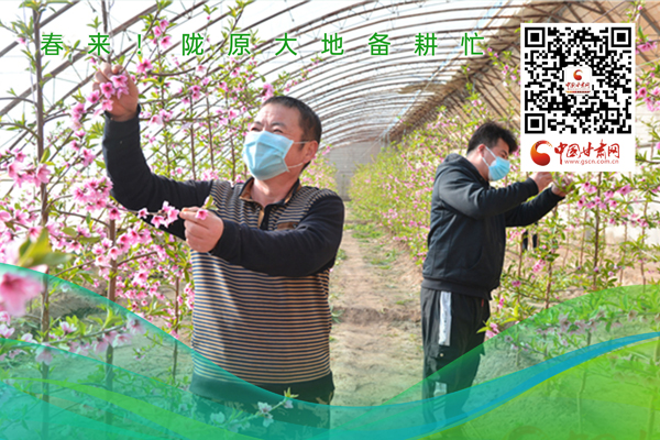 海報(bào)丨春來(lái)！隴原大地春耕忙