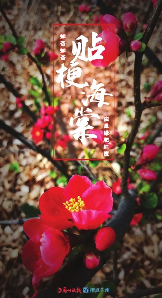 來，跟這些美美的花朵認(rèn)識一下！
