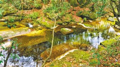 甘肅旅游丨八福溝，西秦嶺深處的水韻秘境