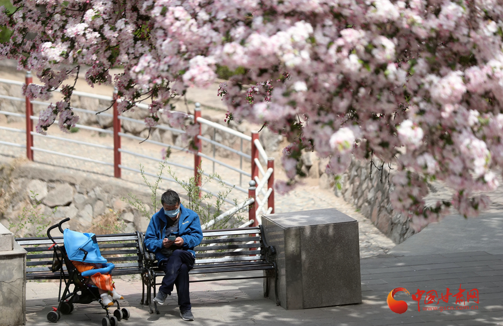 蘭州已有17家景區(qū)恢復(fù)開(kāi)放