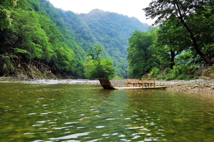 【小隴畫報·95期】康縣：來陽壩，“森”呼吸，我“氧”你