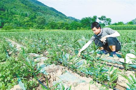 【走向我們的小康生活】安居樂業(yè) 幸?；ㄩ_