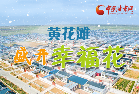 【跟著總書記看甘肅】長(zhǎng)圖|武威黃花灘盛開幸?；?
