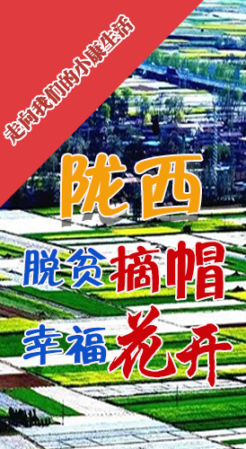 【走向我們的小康生活】長圖|隴西：脫貧摘帽 幸?；ㄩ_