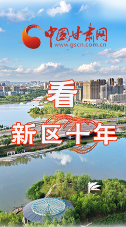 圖解|崛起！新區(qū)十年