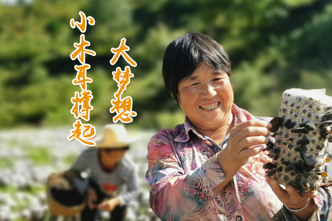 海報(bào)丨他們，乘“豐”破浪！