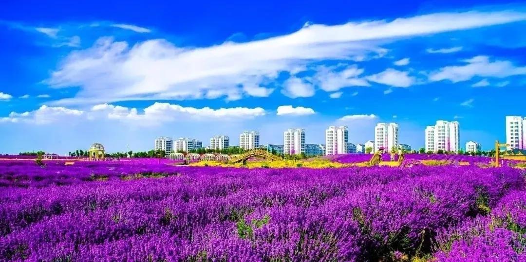 喜訊！金昌蟬聯(lián)全國文明城市