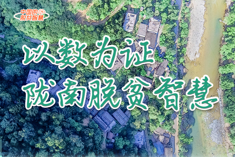 【中國的脫貧智慧】以數(shù)為證！隴南脫貧智慧來了！