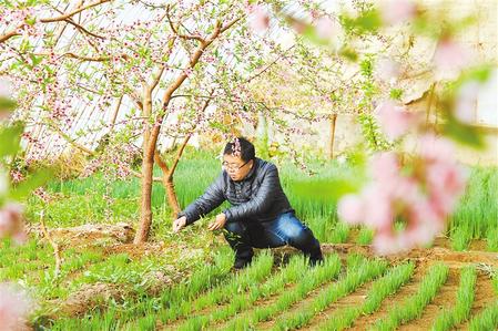 甘肅：時(shí)令催人耕種忙，不誤田間一季春
