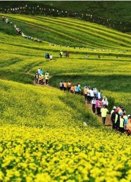 甘肅明確農(nóng)民進(jìn)城落戶:不以退出承包地、林地等為條件