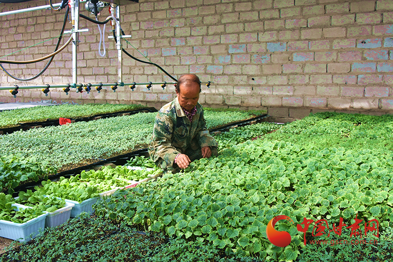 瓜州:學(xué)黨史辦實(shí)事 讓產(chǎn)業(yè)分紅資金曬在陽(yáng)光下