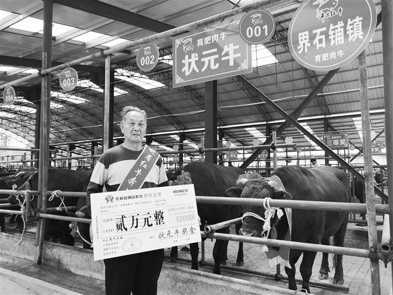 120頭“平?jīng)黾t?！膘o寧爭(zhēng)霸