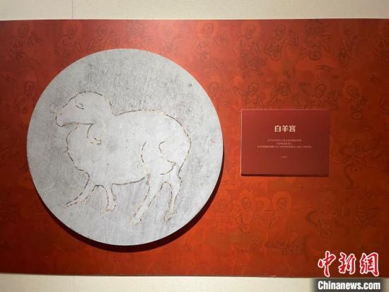 圖為展覽現(xiàn)場。　江楊燁 攝