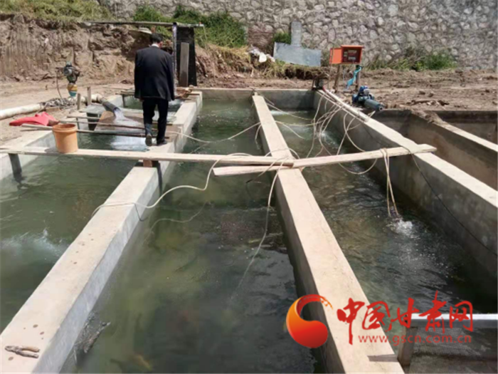 蘭州榆中：馬坡鄉(xiāng)成功養(yǎng)殖虹鱒魚(yú) 每斤40元銷(xiāo)路有保障