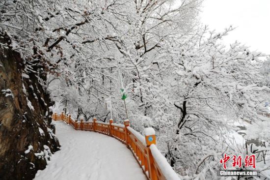 圖為上山的石階被雪覆蓋。張?zhí)鞂?攝
