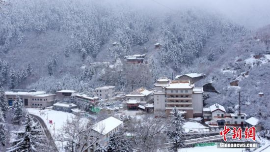 圖為籠罩在雪下的世界。吳永 攝