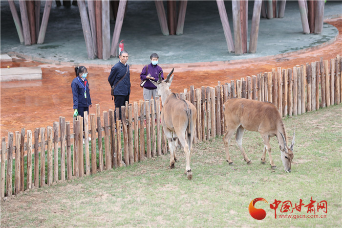蘭州野生動(dòng)物園自12月18日起開通自駕游 試運(yùn)營(yíng)期間收費(fèi)100元/輛