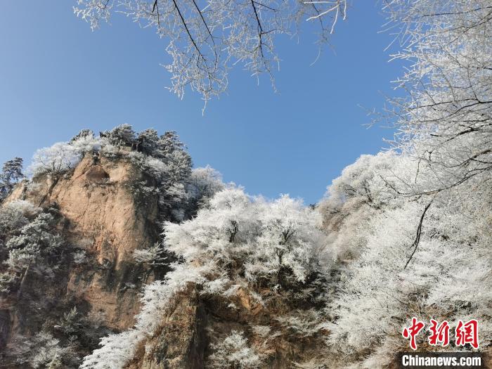 圖為藍天下霧凇籠罩山脈?！⌒煺袢A 攝