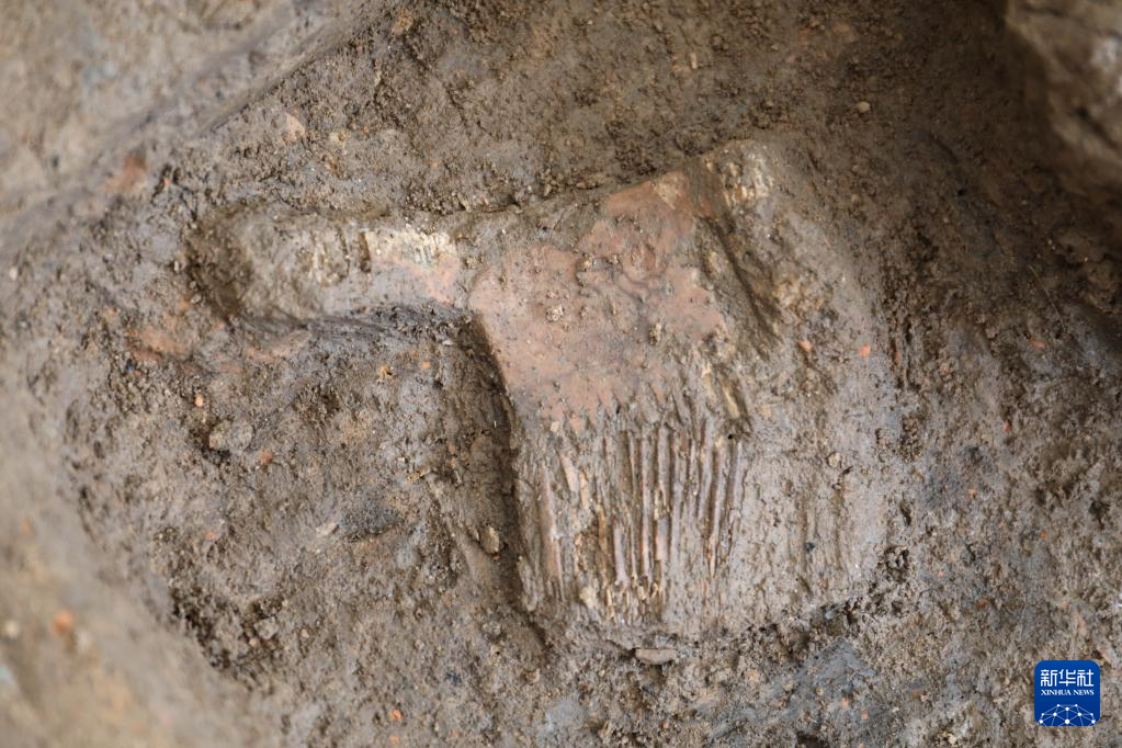 河南南陽市黃山新石器時代遺址出土的屈家?guī)X文化骨梳（資料圖）。