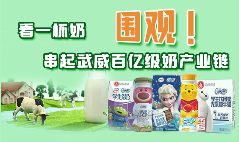 圖解|圍觀！看一杯奶串起武威百億級奶產(chǎn)業(yè)鏈