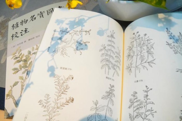 《植物名實(shí)圖考校注》內(nèi)頁。圖片來源：中華書局供圖