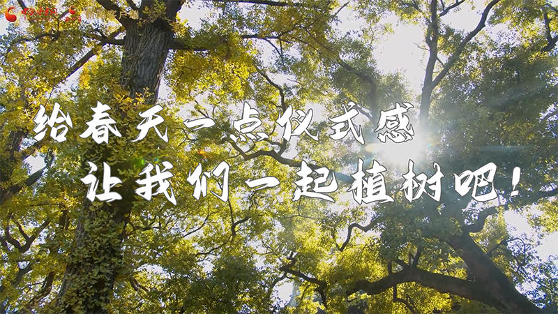 短視頻|給春天一點儀式感，讓我們一起植樹吧！