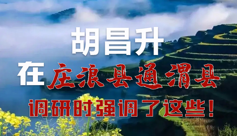 圖解|胡昌升在莊浪縣通渭縣調(diào)研時強調(diào)了這些！