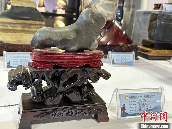 8月3日——7日，2023中國(蘭州)絲綢之路國際賞石文化節(jié)在甘肅國際會(huì)展中心舉行。圖為名為《虎符》的黃河石。楊娜 攝</p><p>