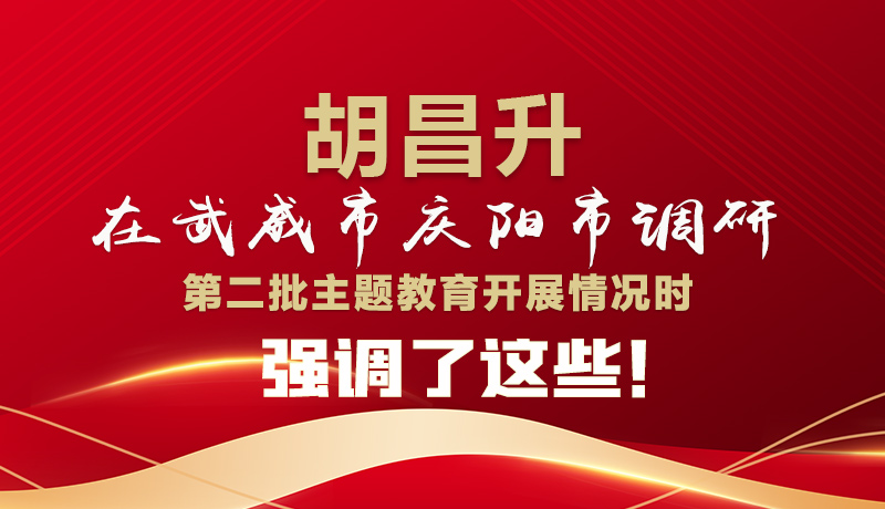 圖解|胡昌升在武威市慶陽市調(diào)研第二批主題教育開展情況時(shí)強(qiáng)調(diào)了這些！