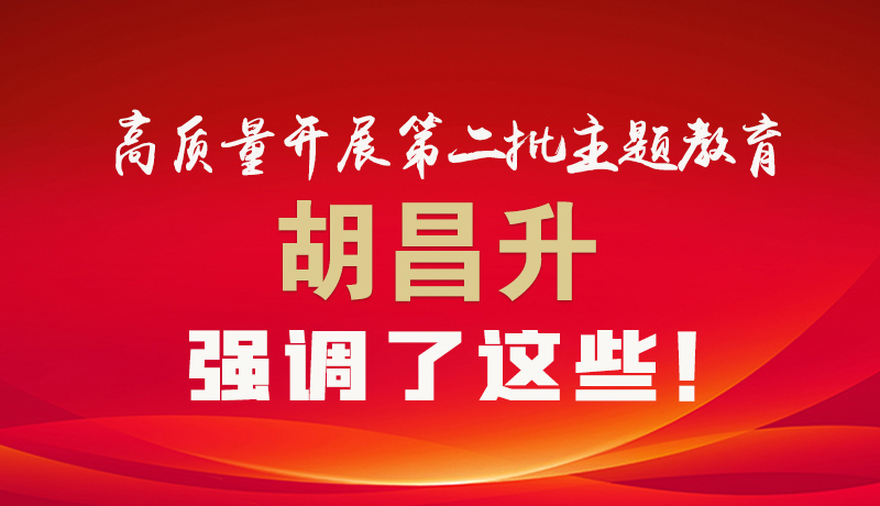 圖解|高質(zhì)量開展第二批主題教育 胡昌升強調(diào)了這些！