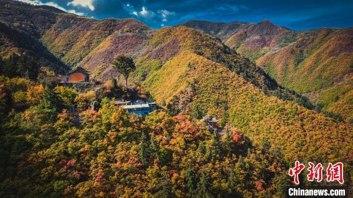 深秋，位于蘭州市榆中縣的興隆山，似打翻調(diào)色板。金峯 攝