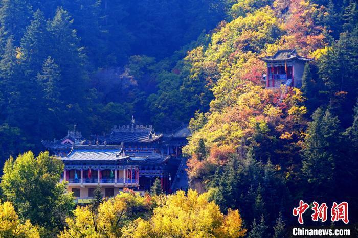 深秋，位于蘭州市榆中縣的興隆山景色如畫。宮衛(wèi)紅 攝