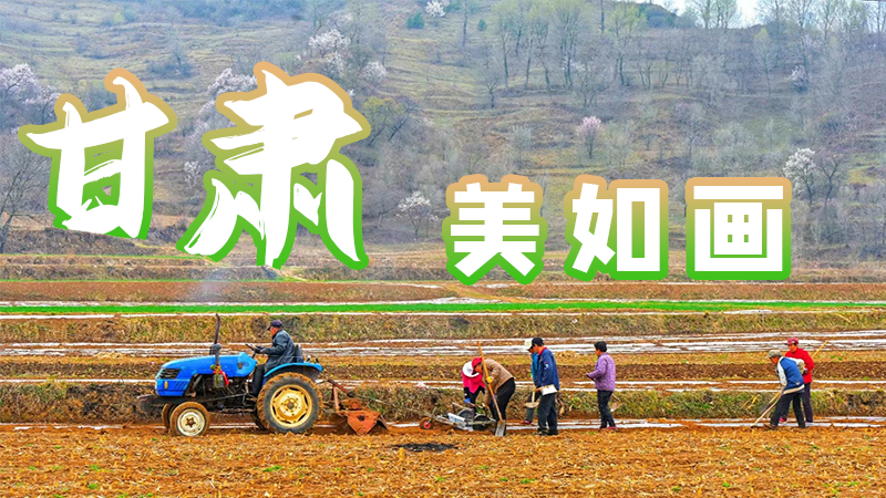 微海報|甘肅，美如畫