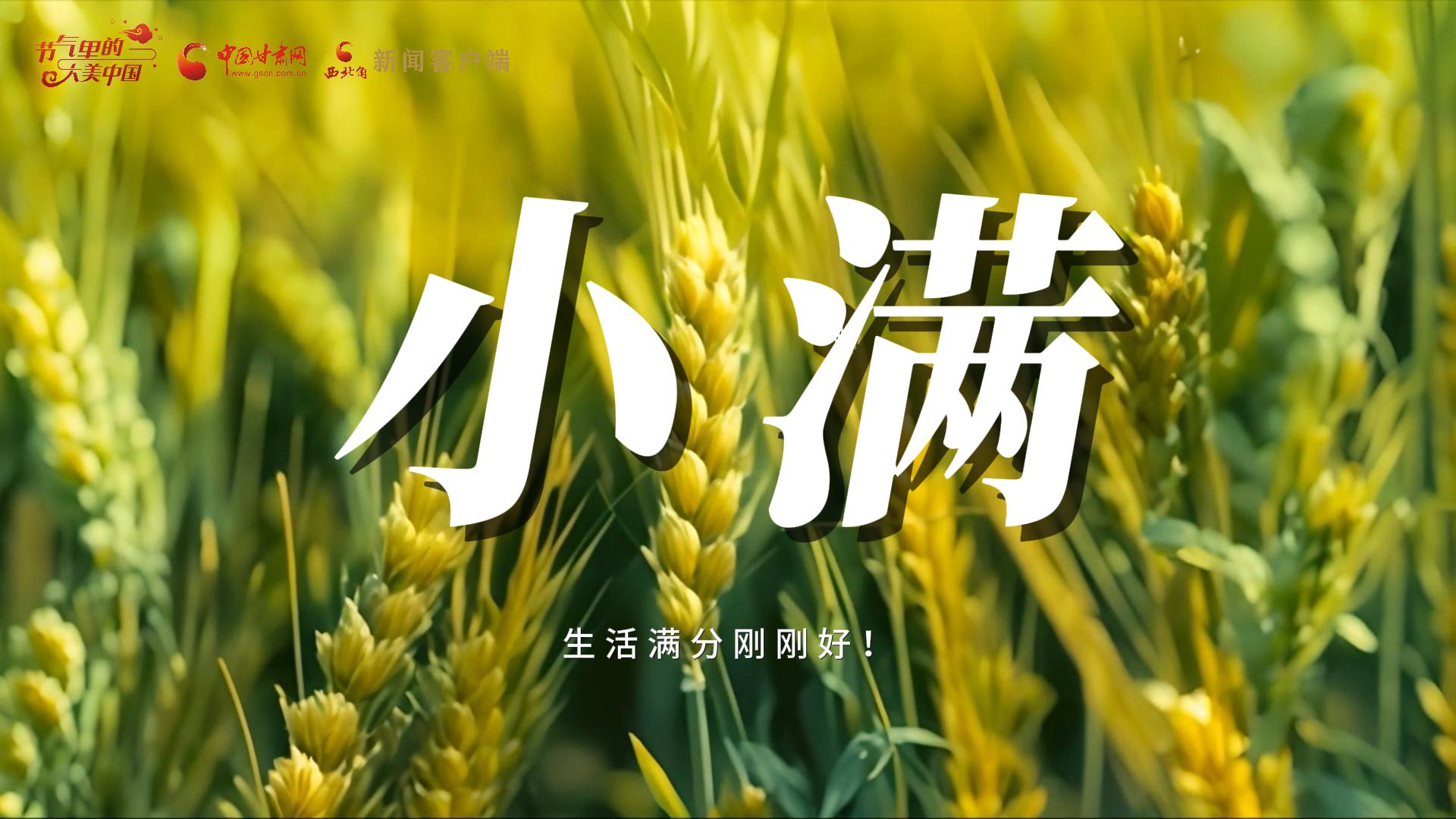 【節(jié)氣里的大美甘肅·小滿】生活滿分剛剛好！
