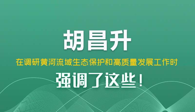 圖解|胡昌升在調(diào)研黃河流域生態(tài)保護(hù)和高質(zhì)量發(fā)展工作時強調(diào)了這些！