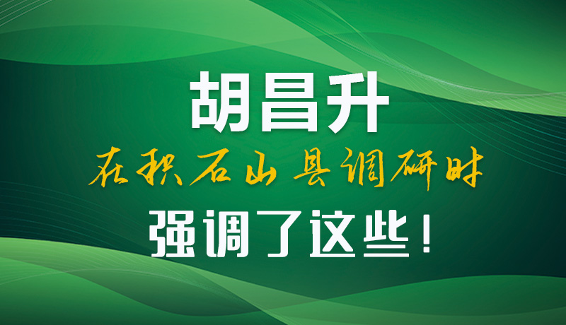 圖解|胡昌升在積石山縣調研時強調了這些！