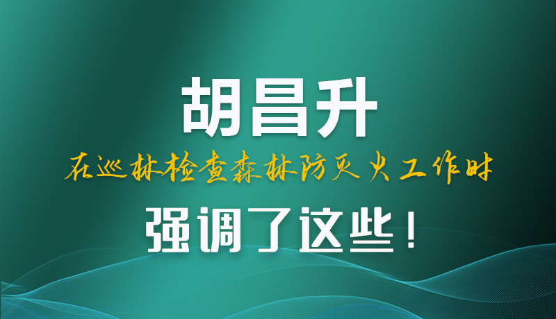 圖解|胡昌升在巡林檢查森林防滅火工作時強(qiáng)調(diào)了這些！