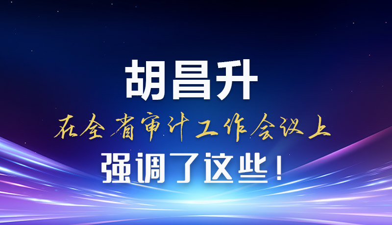 圖解|胡昌升在全省審計(jì)工作會(huì)議上強(qiáng)調(diào)了這些！