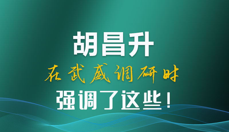 圖解|胡昌升在武威調(diào)研時強(qiáng)調(diào)了這些！