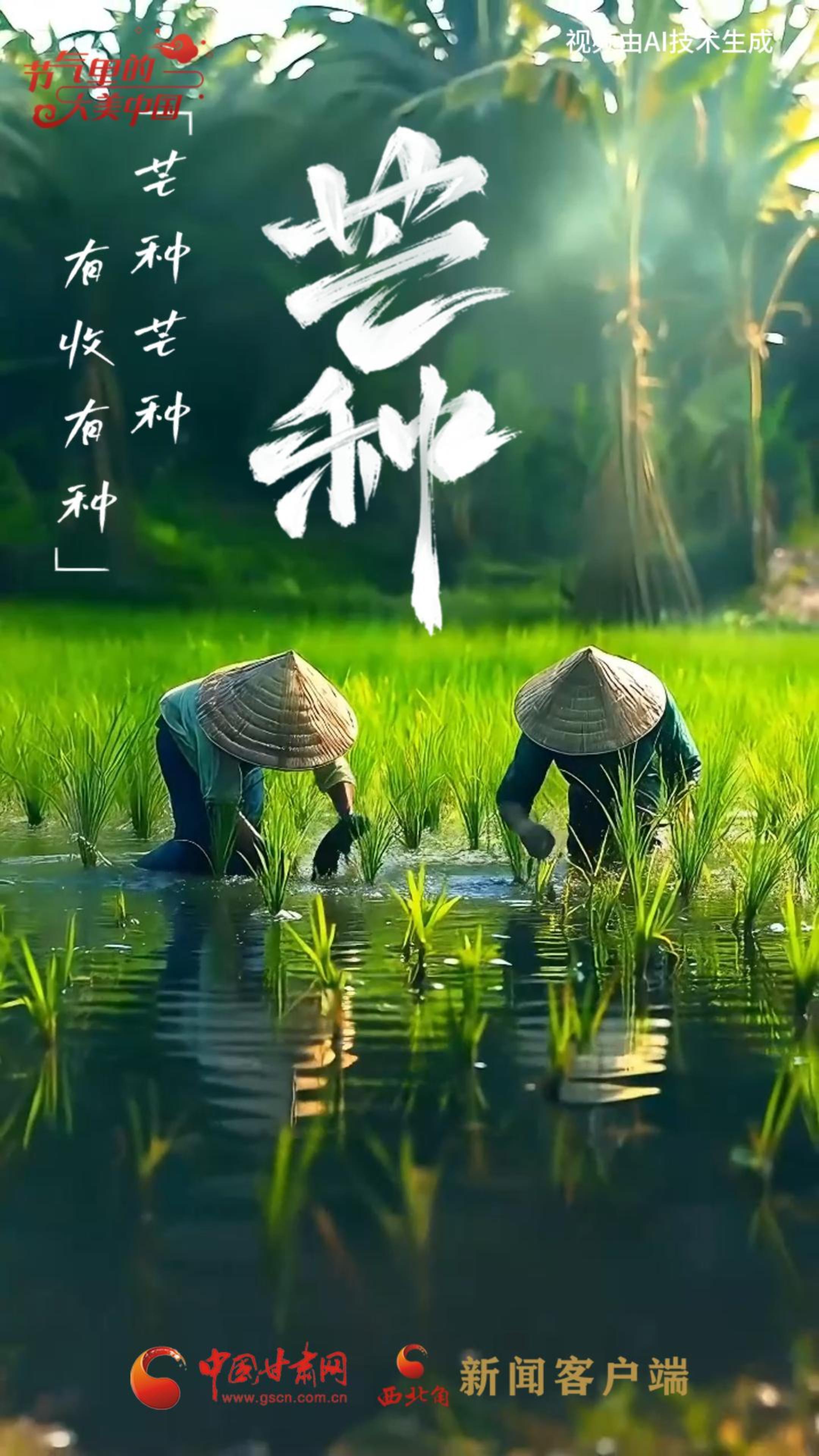 節(jié)氣里的大美甘肅|今日芒種：“芒”有所獲，“種”有所得