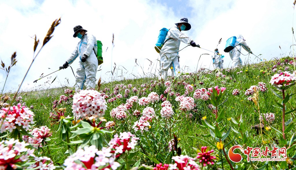 “三北”工程林草濕荒一體化保護(hù)修復(fù)鏖戰(zhàn)正酣
