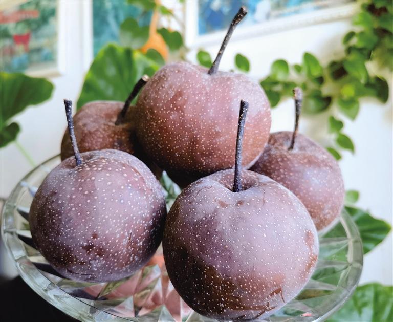 皋蘭“四珍”榮登“國字號”