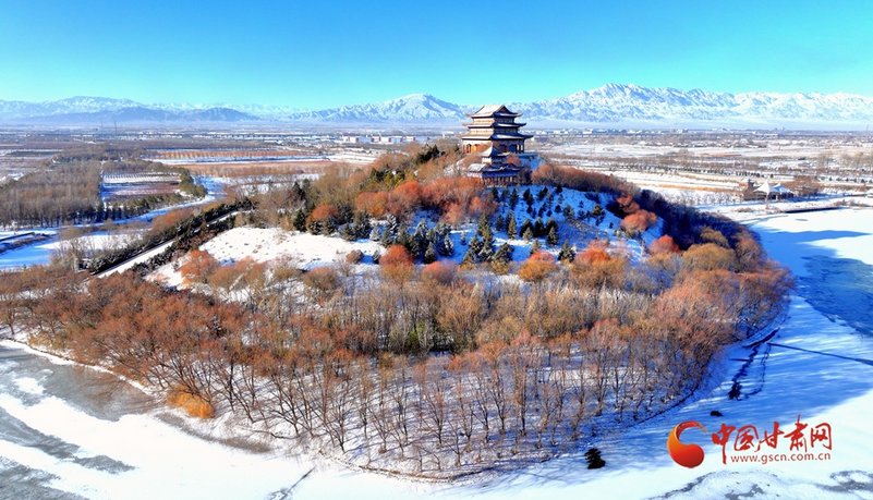 隴拍客丨雪映臨澤景如畫(huà)