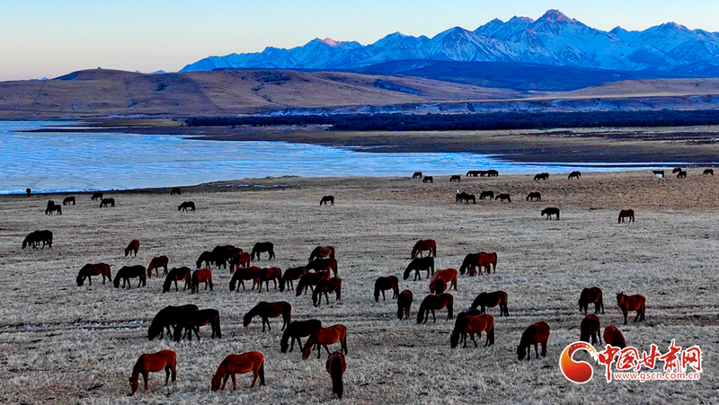 隴拍客丨山丹：落日祁連 駿馬奔騰牧歌揚